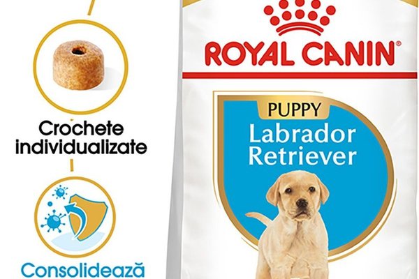 Royal Canin Labrador Puppy hrana uscata caine junior, 12 kg
