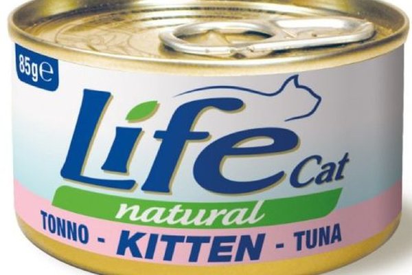 Hrana Umeda Pisici, Life Cat, Kitten, Ton, 85 g
