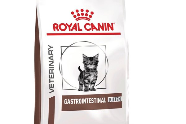 ROYAL CANIN Gastrointestinal Kitten, dieta veterinara, hrana uscata pisici junior, sistem digestiv, 400 g