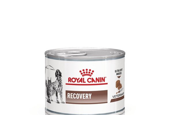 ROYAL CANIN Recovery, dieta veterinara caini si pisici, convalescenta, 195 g
