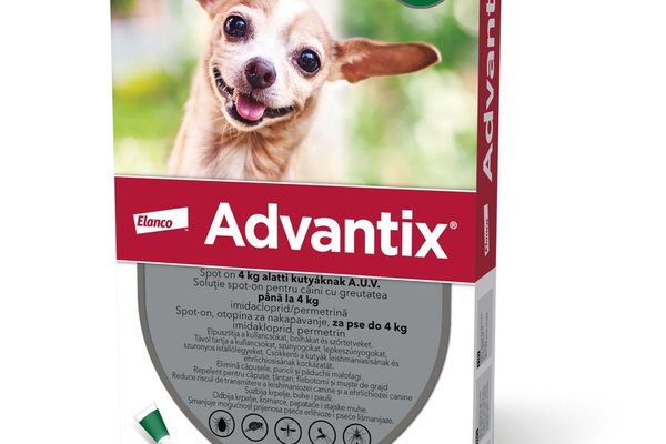 Advantix 40 Caini (< 4 kg), 1 pipeta
