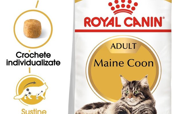 Royal Canin Maine Coon Adult hrana uscata pisica, 4 kg