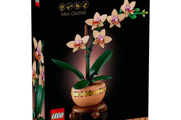 Lego Botanicals Mini Orhidee 10343