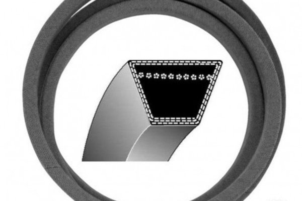 Curea Transmisie MTD E/160 -1219 mm