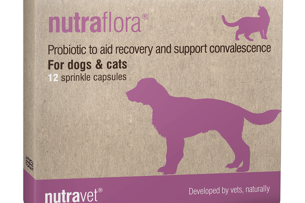 Nutravet Nutraflora, 12 comprimate