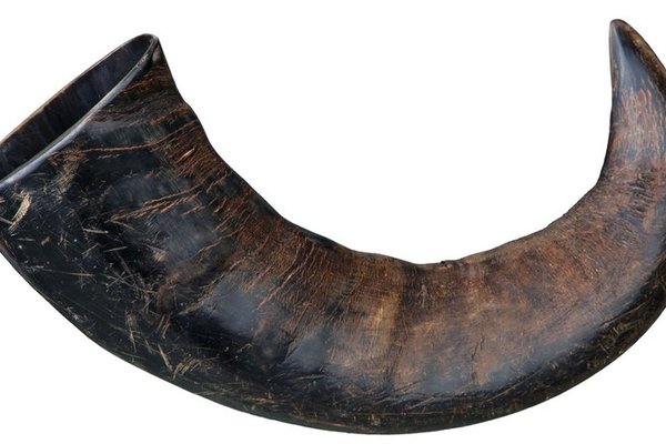 Corn Natural Mare de Bivol 27743