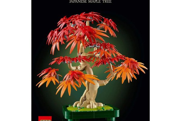 LEGO Botanicals - Bonsai de Artar Japonez Rosu 10348