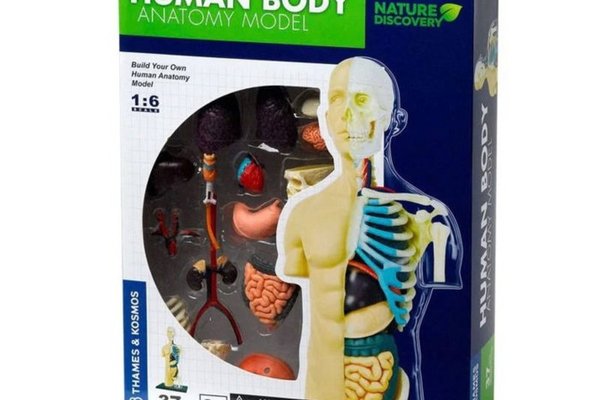 Set educativ STEM resigilat pentru explorarea anatomiei corpului uman