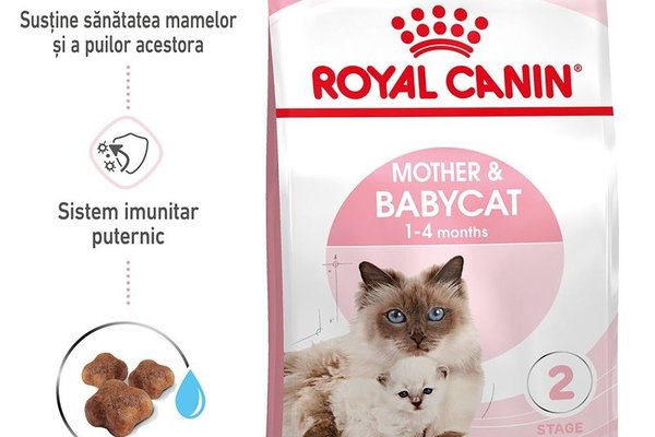 Royal Canin Mother & BabyCat hrana uscata pentru pisici, mama si pui, 2 kg