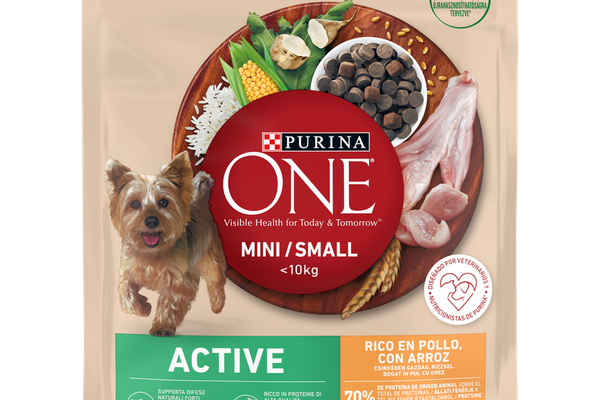 PURINA ONE MINI Active, Pui si Orez, hrana uscata pentru caini, 800 g