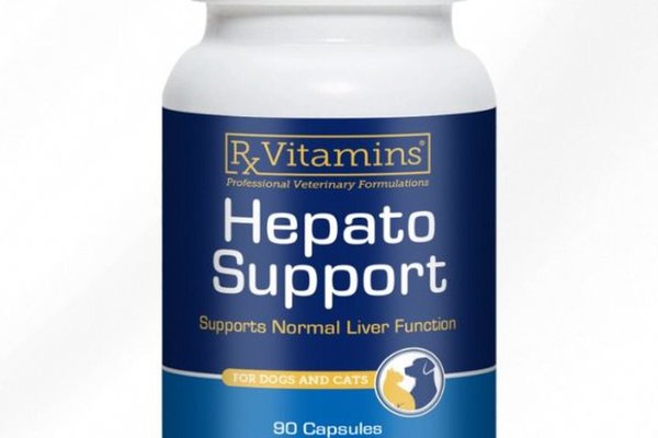 RX Hepato Support, 90 capsule