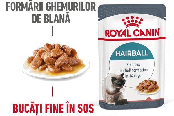 Royal Canin Hairball Care Adult hrana umeda pisica, limitarea ghemurilor de blana (in sos), 12 x 85 g