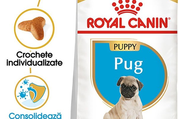 Royal Canin Pug Puppy hrana uscata caine junior, 1.5 kg