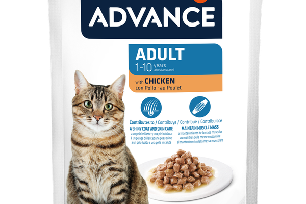 Advance Cat Wet Adult Pui, 85 g