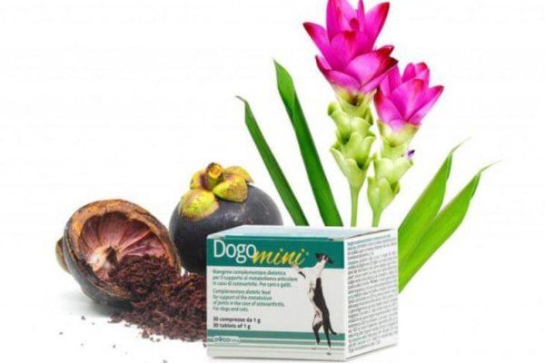 DOGOTEKA DOGO MINI 30 tablete, caini si pisici