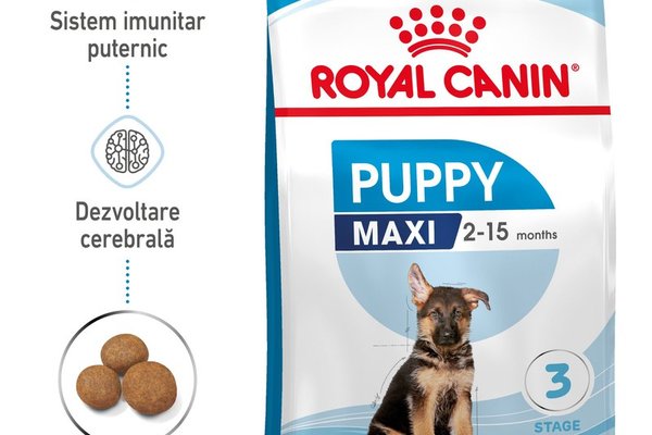 Royal Canin Maxi Puppy hrana uscata caine junior, 15 kg