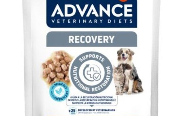 Advance Veterinary Diets Dog & Cat Recovery, 100 g