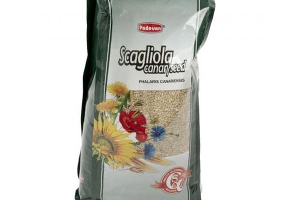 Padovan, Hrana Pasari, Scagliola, 1 kg