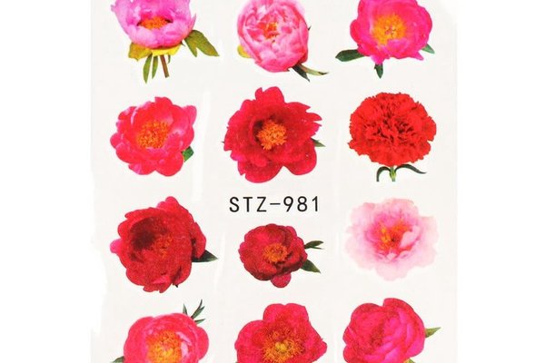 Tatuaj decor unghii STZ-981