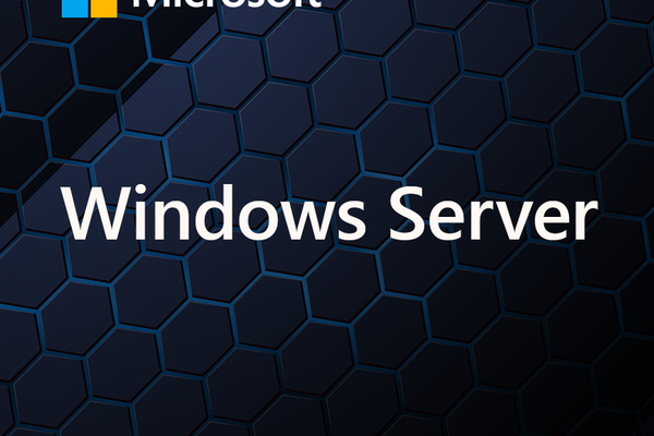 Windows Server 2025 Standard 64Bit English 1pk DSP OEI DVD 16 Core