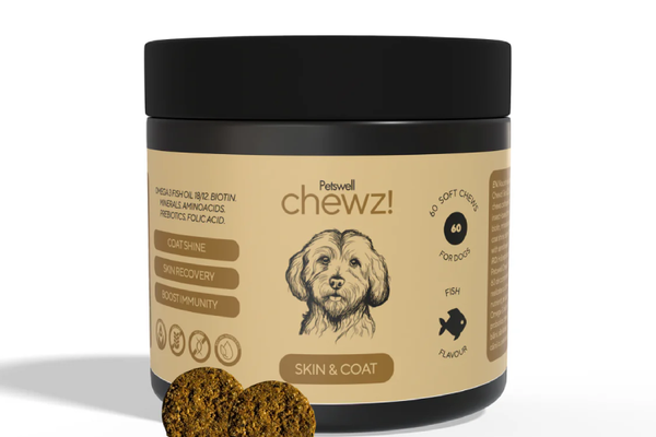 Petswell chewz! Skin & Coat, 60 comprimate masticabile