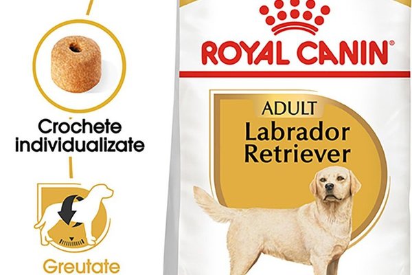 Royal Canin Labrador Adult hrana uscata caine, 12 kg