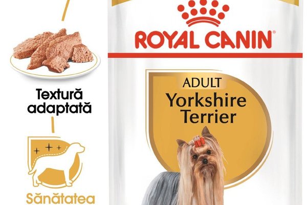 Royal Canin Yorkshire Terrier Adult hrana umeda caine (pate), 85 g