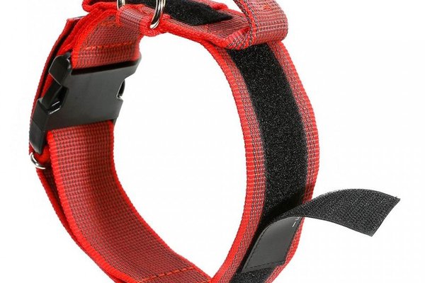Zgarda K9 nylon cu maner, 50 mm, rosu