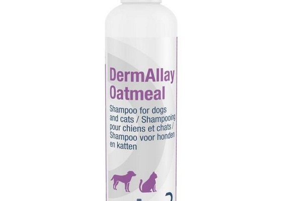 DermAllay Oatmeal Shampoo, Dechra, 230 ml