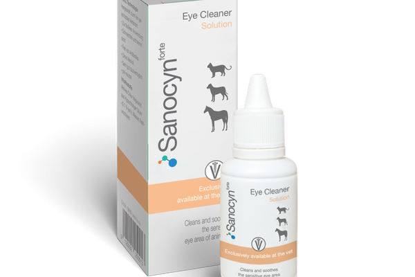 Sanocyn Forte Eye Cleaner, 50 ml