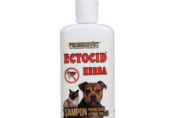 Sampon Ectocid Herba antiparazitar, 200 ml