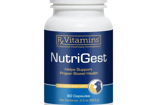 RX NutriGest, 90 capsule