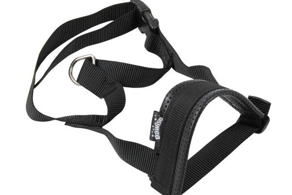 Pawise Botnita Captusita XL, 20-34 cm
