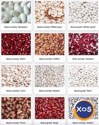 Commodity beans in assortment - 1