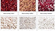 Commodity beans in assortment