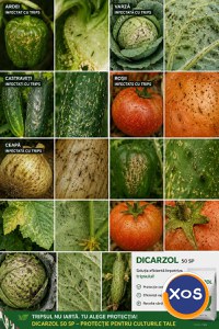 Insecticid Dicarzol 50 Sp împotriva tripsului - 3