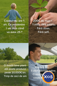 INVESTEȘTE ÎN VIITORUL COPILULUI TĂU CU O LIVADĂ DE NUC GEOAGIU! - 1