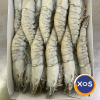 Frozen Fresh Lobsters Wholesale / Frozen Fresh Lobsters - 6