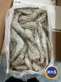 Frozen Fresh Lobsters Wholesale / Frozen Fresh Lobsters - 5