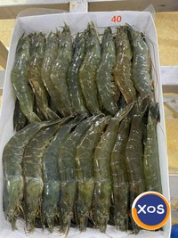 Frozen Fresh Lobsters Wholesale / Frozen Fresh Lobsters - 8
