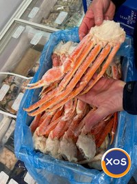Frozen Snow Crab Cluster / Snow Crab Clusters / Crab Legs for Sale - 3