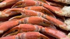 Frozen Snow Crab Cluster / Snow Crab Clusters / Crab Legs for Sale