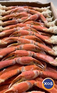 Frozen Snow Crab Cluster / Snow Crab Clusters / Crab Legs for Sale - 1