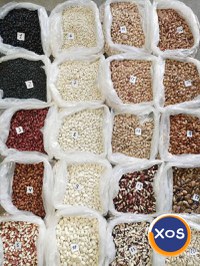 Premium Beans from Ukraine - 1