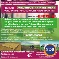 Simulate your investment project - 1