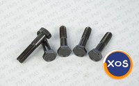 Carraro Screw / Bolt Types, Oem Parts - 18