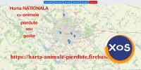 Animale pierdute si animale gasite - harta nationala cu localizarea - 3