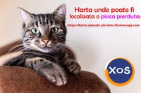 Animale pierdute si animale gasite - harta nationala cu localizarea - 4