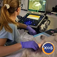 SanitaVet, cabinet veterinar sector 6 Bucuresti - 4