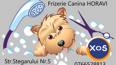 Tuns caini-Frizerie/coafor canin HORAVI .